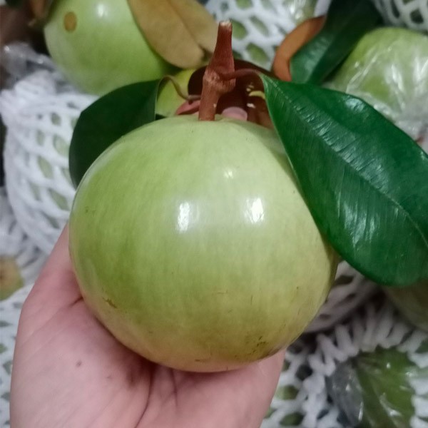 (HỘ KINH DOANH) ĐIỆN - NƯỚC - KIM KHÍ : CÔNG DANH